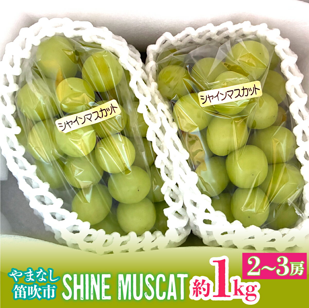 186位! 口コミ数「0件」評価「0」【2026年発送★先行予約】シャインマスカット約1kg（2-3房入） ふるさと納税 おすすめ ランキング シャインマスカット 笛吹市 国産 人気 期間限定 ぶどう ブドウ 葡萄 旬 果物 フルーツ デ･･･ 