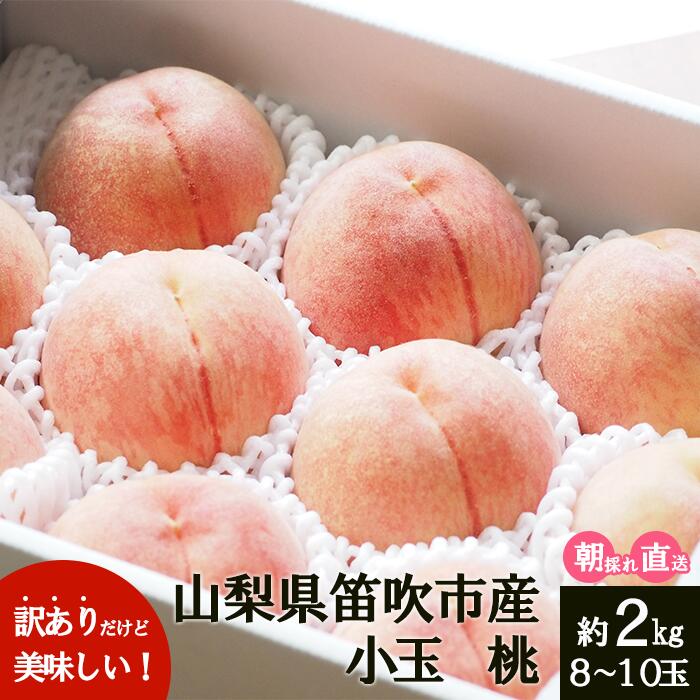 【ふるさと納税】訳ありだけど美味しい桃 たっぷり入って10玉以上 約2kg 山梨県 笛吹市 訳あり桃 高評価 (2023年7月から順次発送予定) 産地直送 154-031のサムネイル