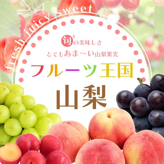 シャインマスカット　種なしぶどう　【ふるさと納税】1.2kg以上(2房~3房)　山梨県　笛吹市「フルーツ　果物」楽天　人気　ランキング　コスパ　粒が大きい　甘い　美味しい　数量限定＜先行予約/発送予定：2024年9月中旬から＞「販売」KEIPE株式会社 154-007 2