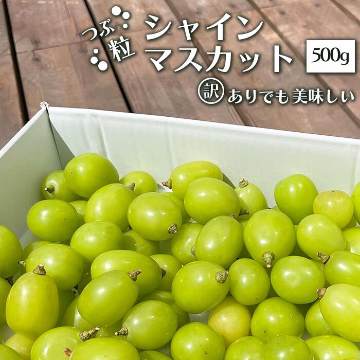 【ふるさと納税】＜2024年 先行予約＞訳ありだけど美味しい 2024年発送 シャインマスカット 粒 約500g 山梨県笛吹市 ふるさと納税 シャインマスカット ぶどう ブドウ 葡萄 果物 フルーツ 数量限定 訳あり 山梨県 笛吹市 送料無料 154-038のサムネイル