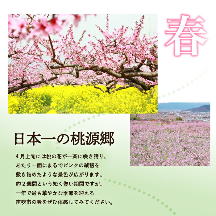 山梨県笛吹市の画像3