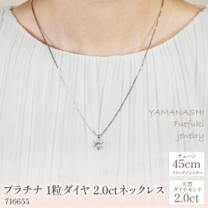 【ふるさと納税】プラチナ　1粒ダイヤ　2.0ct　ネックレス　管理番号716655　×1本 ふるさと納税 人気 おすすめ ランキング アクセサリー 宝石 ジュエリー 高級 記念日 プレゼント 山梨県 笛吹市 送料無料 218-063