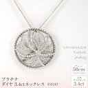 【ふるさと納税】プラチナ　ダイヤ　3.4ct　ネックレス　管理番号252242　×1本 ふるさと納税 人気 おすすめ ランキング アクセサリー 宝石 ジュエリー 高級 記念日 プレゼント 山梨県 笛吹市 送料無料 218-072