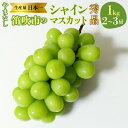 【ふるさと納税】<25年発送先行予約>【2025年8月下旬~順次発送】山梨県 笛吹産 シャインマスカット 1kg(2~3房)秀品 ふるさと納税 おすすめ ランキング シャインマスカット 笛吹市 国産 人気 期間限定 ぶどう ブドウ 葡萄 旬 果物 フルーツ 山梨県 送料無料 215-007