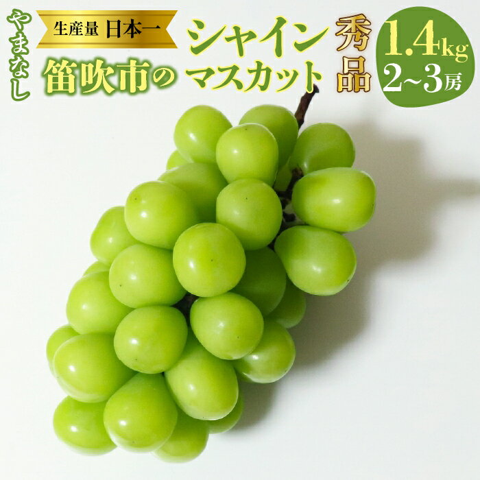 【ふるさと納税】【2026年発送★先行予約】【2026年8月下旬～順次発送】山梨県 笛吹産 シャインマスカッ..