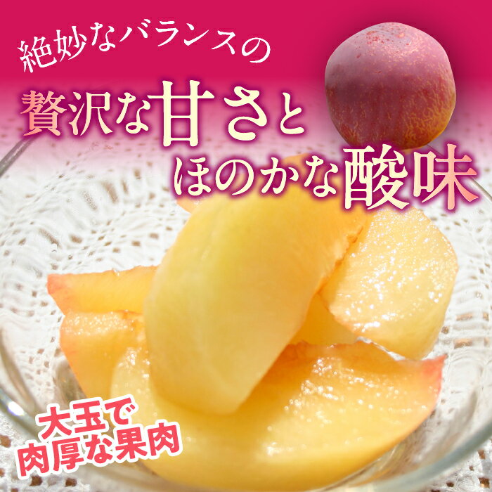 皇寿(すもも)約1.8kg ふるさと納税 おすすめ ランキング すもも スモモ 笛吹市 国産 人気 期間限定 果物 フルーツ デザート おやつ すもも 旬 お祝い プレゼント お歳暮 お中元 フルーツギフト 敬老の日 山梨県 送料無料 222-005