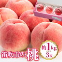 【ふるさと納税】<25年発送先行予約>桃 3玉入り(約1kg) ふるさと納税 おすすめ ランキング もも 桃 笛吹市 国産 人気 期間限定 果物 フルーツ 旬 山梨県 送料無料 222-009