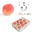 【ふるさと納税】【2026年発送★先行予約】山梨一宮産 朝採り新鮮桃 3.0kg (7〜12玉)★ ふるさと納税 人気 おすすめ ランキング もも 桃 笛吹市 国産 人気 期間限定 果物 フルーツ 旬 山梨県 送料無料 122-011-26y 20,000円