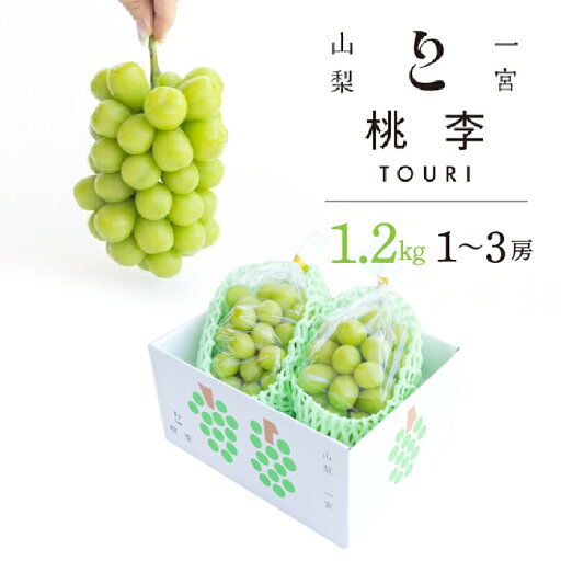 【ふるさと納税】<25年発送先行予約>シャインマスカット約1.2kg(1~3房) ふるさと納税 人気 おすすめ ランキング シャインマスカット 国産 人気 期間限定 ぶどう ブドウ 葡萄 旬 果物 フルーツ 山梨県 笛吹市 送料無料 122-014 【ふるさと納税】<25年発送先行予約>シャインマスカット約1.2kg(1~3房) ふるさと納税 人気 おすすめ ランキング シャインマスカット 国産 人気 期間限定 ぶどう ブドウ 葡萄 旬 果物 フルーツ 山梨県 笛吹市 送料無料 122-014