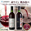 【ふるさと納税】モンデ酒造 赤ワイン(ベーリーA・メルロ&ブラッククイーン )飲み比べ 各1本 計2本 ふるさと納税ワイン ベーリーA メルロー ブラッククイー...