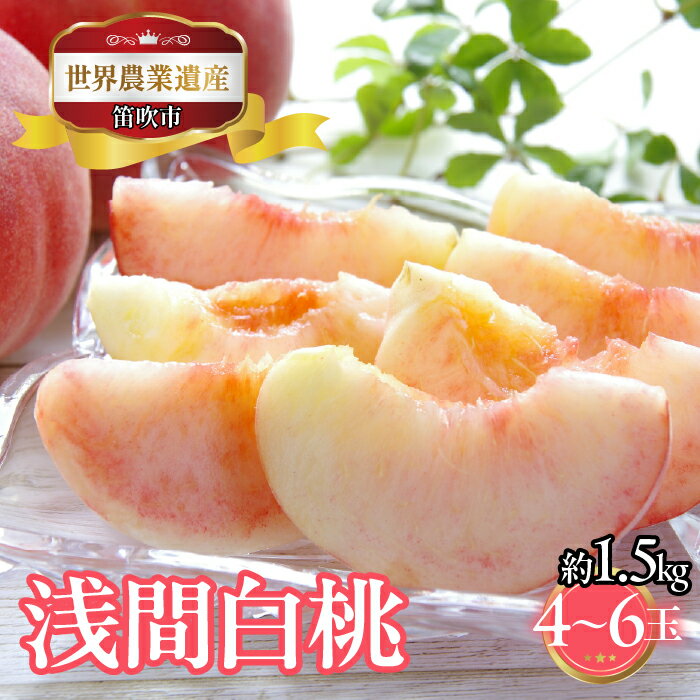 [2026年発送★先行予約]山梨県笛吹市産 浅間白桃 約1.5kg 4玉〜6玉 223-022