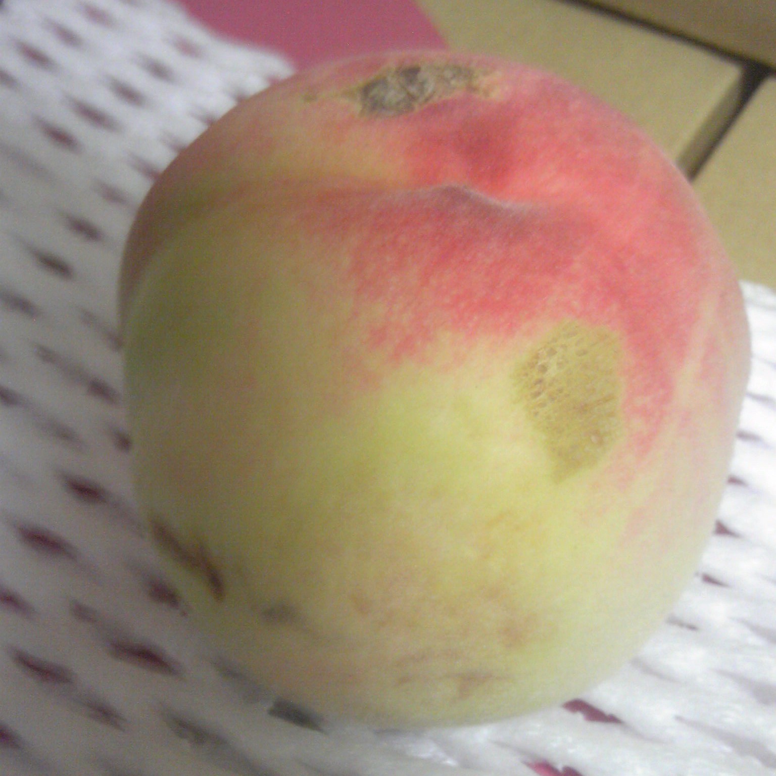 山梨県笛吹市の画像2