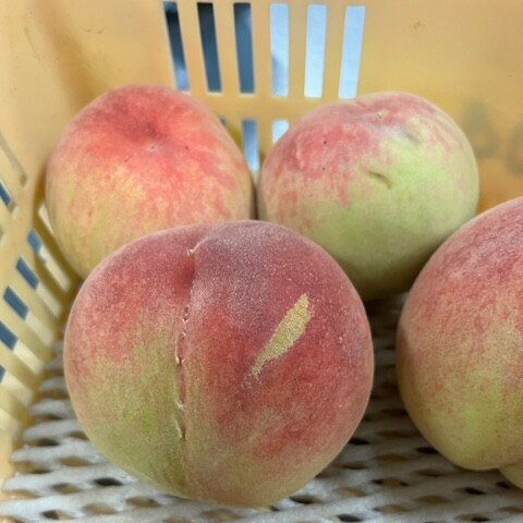 山梨県笛吹市の画像3