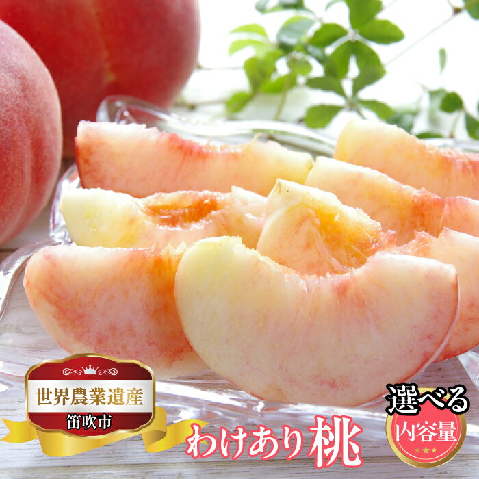 [2026年発送★先行予約]山梨県笛吹市産 ご家庭用桃(わけあり)[選べる容量]ふるさと納税 もも 桃 笛吹市 訳あり 国産 人気 期間限定 果物 フルーツ 旬 山梨県 送料無料 223-015 / 223-011 / 223-016