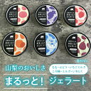 【ふるさと納税】山梨のおいしさまるっと!ジェラート(6種セット)桃・ぶどう・いちご・ミルク・いちじく・ころ柿 201-001