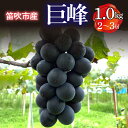 【ふるさと納税】 <25年発送先行予約> 笛吹市産 巨峰 1.0kg(2〜3房) ふるさと納税 ぶどう 葡萄 種無し 黒系 笛吹市 国産 人気 甘い 大きい 期...