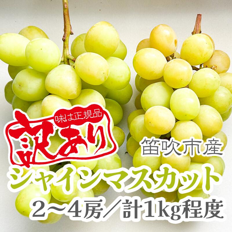 117位! 口コミ数「1件」評価「4」【2026年発送★先行予約】【訳あり品】山梨県産シャインマスカット2房～4房(合計1kg程度) ふるさと納税 訳あり ぶどう シャインマスカット 笛吹市 国産 人気 期間限定 果物 フルーツ 旬 山梨･･･ 
