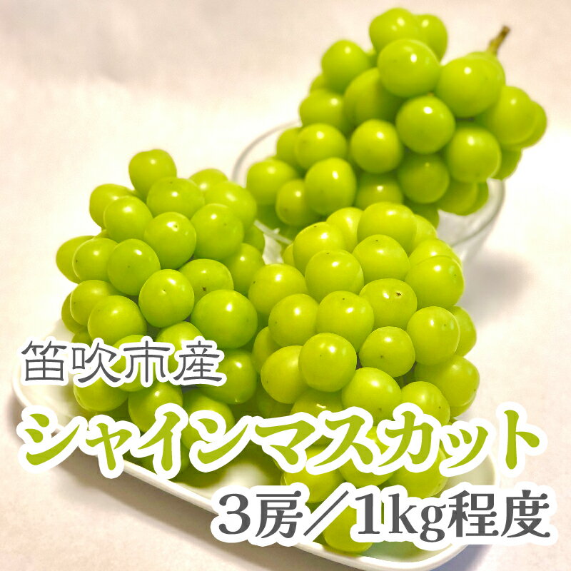 【ふるさと納税】【2026年発送★先行予約】こだわりの逸品! 甘さと香り際立つ山梨県産シャインマスカット3房(合計1kg程度) ふるさと納税 ぶどう シャインマスカット 笛吹市 国産 人気 期間限定 果物 フルーツ 旬 山梨県 送料無料 229-002