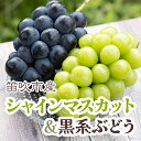 【ふるさと納税】<25年発送先行予約>シャインマスカット&黒系ぶどう 各1房(2房合計1kg程度) ふるさと納税 ぶどう シャインマスカット 笛吹市 国産 人気...