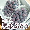 【ふるさと納税】<25年発送先行予約>黒系ぶどう2房(合計1kg程度) ふるさと納税 ぶどう シャインマスカット 笛吹市 国産 人気 期間限定 果物 フルーツ 旬 山梨県 送料無料 229-005(4)