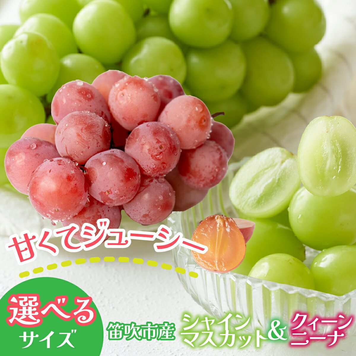 選べる容量 笛吹市産 シャインマスカット&クィーンニーナ詰め合わせ 石倉ファーム[1.4kg/2kg/3kg]ふるさと納税 ぶどう シャインマスカット クィーンニーナ 笛吹市 期間限定 果物 旬 山梨県 送料無料 241-008