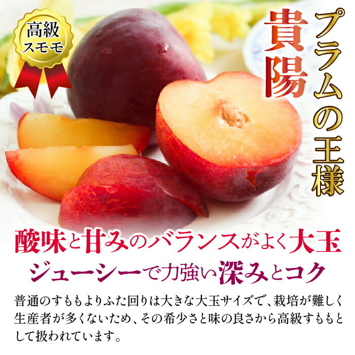 【ふるさと納税】 ＜25年発送先行予約＞笛吹市産　厳選!農家直送「フルーツ定期便5回便」 旬の果実をお届け1-2名様 シャインマスカット 桃 もも 貴陽 すもも スモモ プラム ぶどう ブドウ 枯露柿 人気 贈答 ギフト 果物 フルーツ 山梨県 笛吹市 リピート 送料無料 205-013