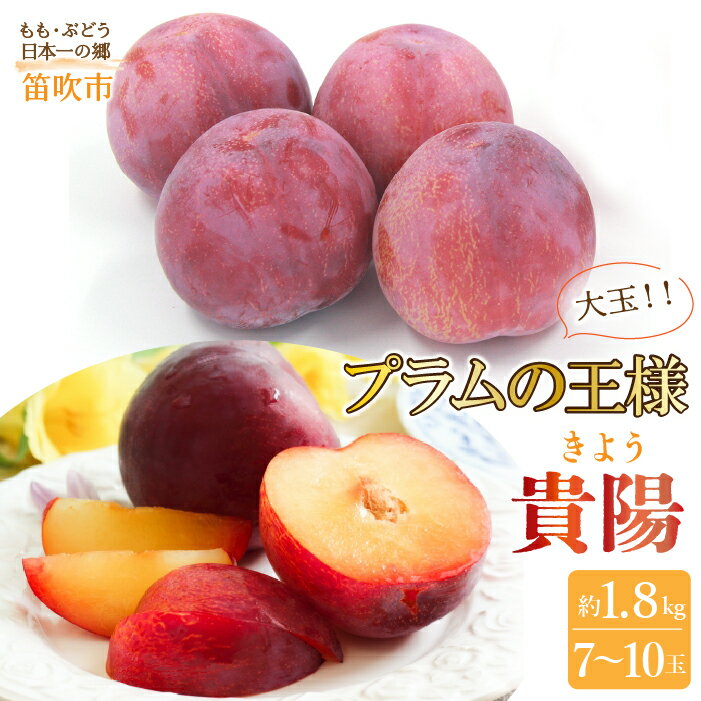 133位! 口コミ数「1件」評価「5」【2026年発送★先行予約】笛吹市産　貴陽　約1.8kg　（大玉7〜10玉） ふるさと納税 おすすめ ランキング 貴陽 すもも スモモ プラム 笛吹市 国産 人気 期間限定 果物 フルーツ 旬 甘い ･･･ 