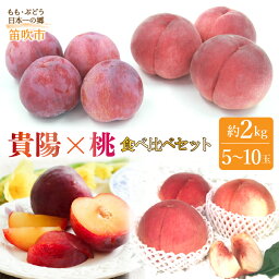 【ふるさと納税】＜2024年先行予約＞笛吹市産　もも×貴陽食べ比べセット約2.0kg（5～10玉） ふるさと納税 おすすめ ランキング 桃 もも 貴陽 すもも スモモ プラム 笛吹市 国産 人気 期間限定 果物 フルーツ 旬 甘い 酸味 高級 山梨県 送料無料 205-009