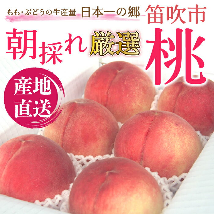 【ふるさと納税】＜2024年先行予約＞笛吹市産　厳選!農家直送「フルーツ定期便4回便」 ふるさと納税 おすすめ ランキング シャインマスカット 桃 もも 貴陽 すもも スモモ プラム ぶどう ブドウ 笛吹市 国産 人気 期間限定 果物 フルーツ 旬 山梨県 送料無料 定期便 205-012