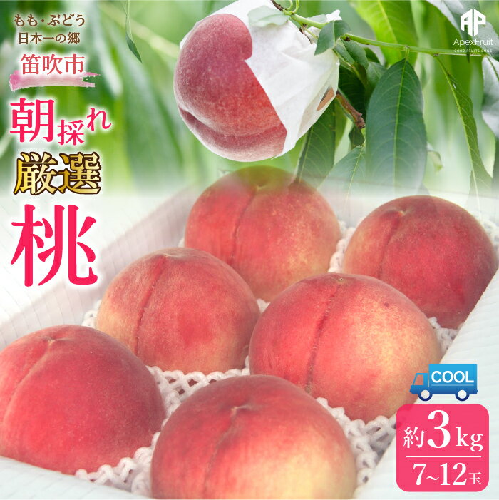 【ふるさと納税】＜2024年発送＞笛吹市産　厳選! 旬の桃 約3kg (7~12玉) ふるさと納税 もも 桃 笛吹市 国産 人気 期間限定 果物 フルーツ 旬 山梨県 送料無料 205-002のサムネイル