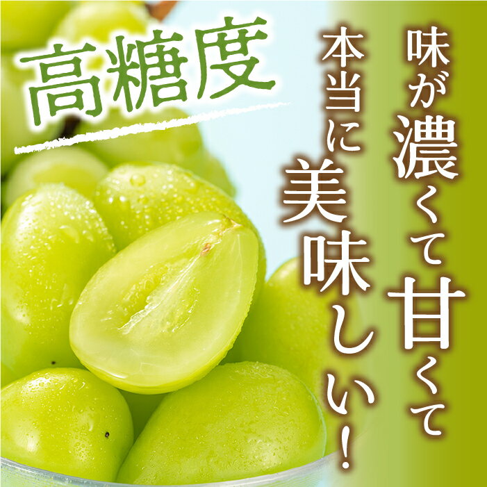 【ふるさと納税】＜25年発送先行予約＞ 笛吹市産　厳選! シャインマスカット 約1.8～2.0kg 3～5房 205-005 ふるさと納税 シャインマスカット 笛吹市 国産 人気 期間限定 ぶどう ブドウ 葡萄 旬 果物 フルーツ 山梨県 送料無料