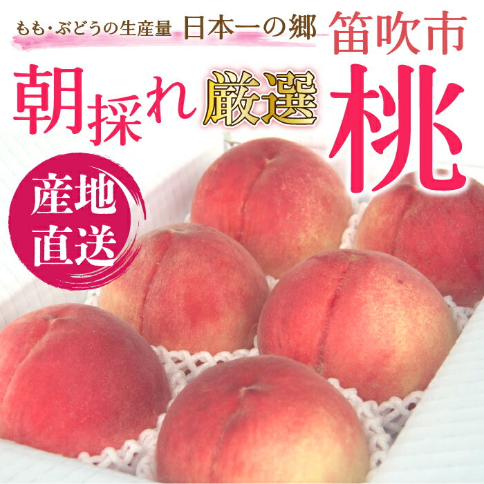 【ふるさと納税】＜2024年度先行予約＞ 笛吹市産　厳選!農家直送「フルーツ定期便2回便」 ふるさと納税 シャインマスカット 桃 もも 笛吹市 国産 人気 期間限定 ぶどう ブドウ 葡萄 定期便 旬 果物 フルーツ 山梨県 送料無料 205-006