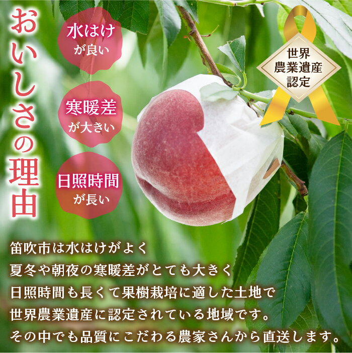 山梨県笛吹市の画像3