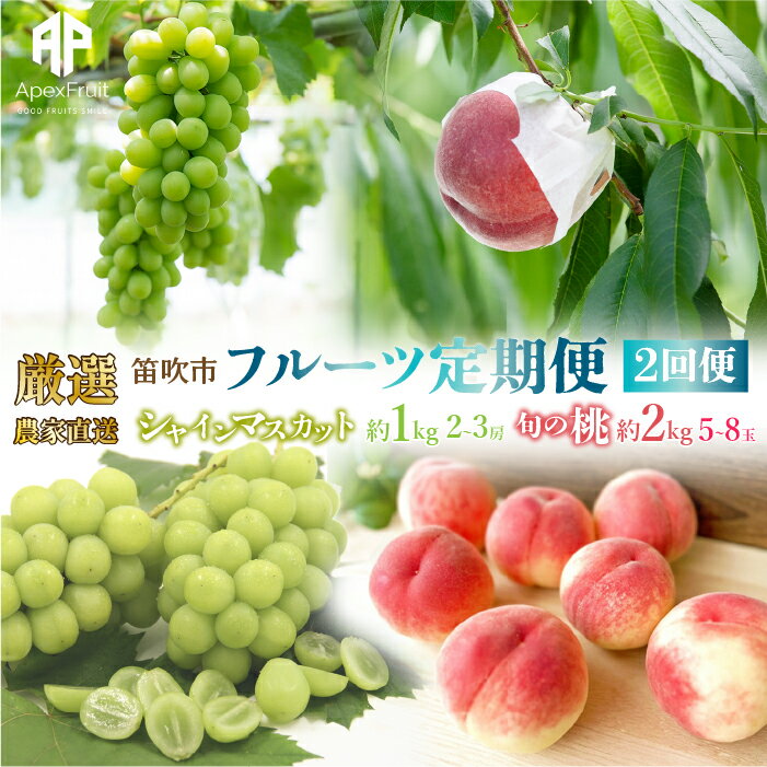 【ふるさと納税】＜2024年度先行予約＞ 笛吹市産　厳選!農家直送「フルーツ定期便2回便」 ふるさと納税 シャインマスカット 桃 もも 笛吹市 国産 人気 期間限定 ぶどう ブドウ 葡萄 定期便 旬 果物 フルーツ 山梨県 送料無料 205-006