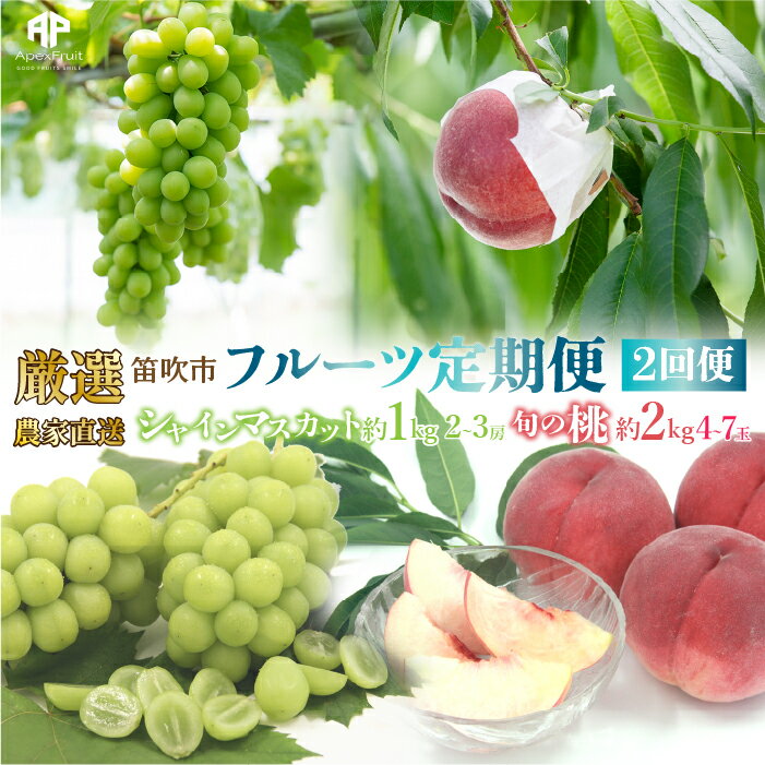[25年発送先行予約]笛吹市産 厳選!農家直送「フルーツ定期便2回便」桃 約2キロ(4〜7玉)6月〜8月 シャインマスカット約1.0キロ(2〜3房) 9月〜10月 205-006