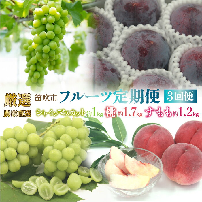 144位! 口コミ数「1件」評価「5」【2026年発送★先行予約】笛吹市産　厳選!農家直送「フルーツ定期便3回便」 ふるさと納税 おすすめ ランキング シャインマスカット 桃 もも 貴陽 すもも 笛吹市 国産 人気 期間限定 果物 フルー･･･ 
