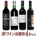 23位! 口コミ数「0件」評価「0」築宝の赤ワイン品種別4本セット 赤ワイン 飲み比べ 国産ワイン 山梨県 笛吹市産 ふるさと納税 ワイン 笛吹市 山梨ワイン 酒 アルコール ･･･ 