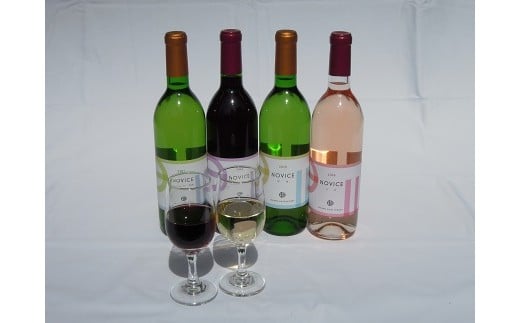 【ふるさと納税】NOVICEフレッシュセット ふるさと納税 ワイン 笛吹市 山梨ワイン 酒 アルコール 山梨県 記念品 お祝い 送料無料 017-004