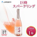 【ふるさと納税】巨峰スパークリング 720ml モンデ酒造 