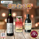 18位! 口コミ数「0件」評価「0」赤ワイン 瓶 缶 飲み比べ 瓶1本+缶2種8本 モンデ酒造 缶ワイン 赤 ワイン マスカットベーリーA 酒 お酒 贈答 ギフト プレゼント ･･･ 