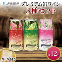 【ふるさと納税】プレミアム缶ワイン 赤 白 ロゼスパークリング 12本入 3種飲み比べ モンデ酒造 缶ワイン ワイン 酒 お酒 果実酒 飲用カップ付き 晩酌 宅...