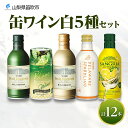 【ふるさと納税】缶ワイン 白 5種セット 12本入 モンデ酒造 飲み比べ プティモンテリア プレミアム デラウェア スパークリング ワイン サングリア 酒 お酒...