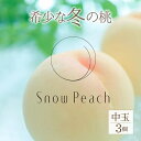 【ふるさと納税】<2025年11月出荷>Snow Peach(中粒3個入) ふるさと納税 もも 桃 笛吹市 国産 人気 期間限定 果物 フルーツ 旬 山梨県 送料無料 208-002