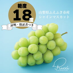 【ふるさと納税】<数量限定>【糖度18度保証付】シャインマスカット 選べる容量【2025年発送】旬の美味しいフルーツだけをお届けします【ルッチ Rucci】産地直送 山梨県 笛吹市 糖度 新鮮 旬 高評価 贈答 化粧箱 シャインマスカット 大粒 ぶどう 果物