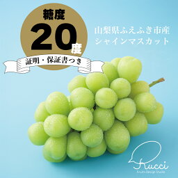 【ふるさと納税】【数量超限定】【糖度20度保証付】シャインマスカット選べる容量 旬の美味しいフルーツだけをお届けします【ルッチ Rucci】産地直送 山梨県 笛吹市 果物 贈答 高級 ふるさと納税 シャインマスカット ぶどう ブドウ 葡萄 ギフト 果物 フルーツ 送料無料