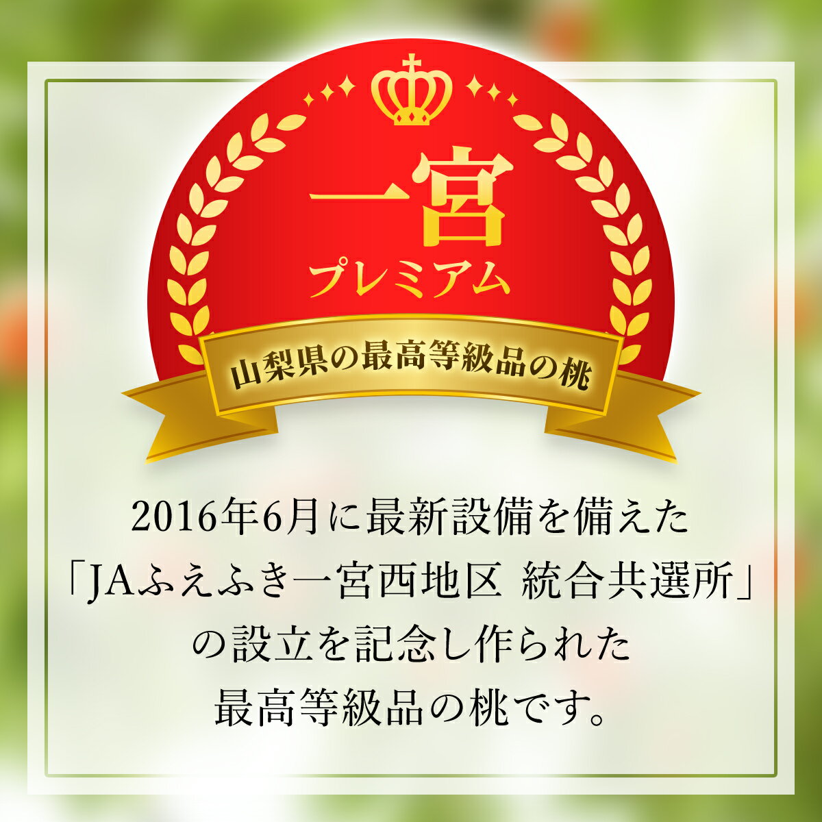 【ふるさと納税】＜2024年先行予約＞『いちのみやの桃 一宮プレミアム（糖度13度以上）』山梨県産 約5kg（16〜18玉） ふるさと納税 人気 おすすめ ランキング もも 桃 国産 人気 期間限定 果物 フルーツ ギフト 贈り物 プレゼント 旬 山梨県 笛吹市 送料無料 203-005