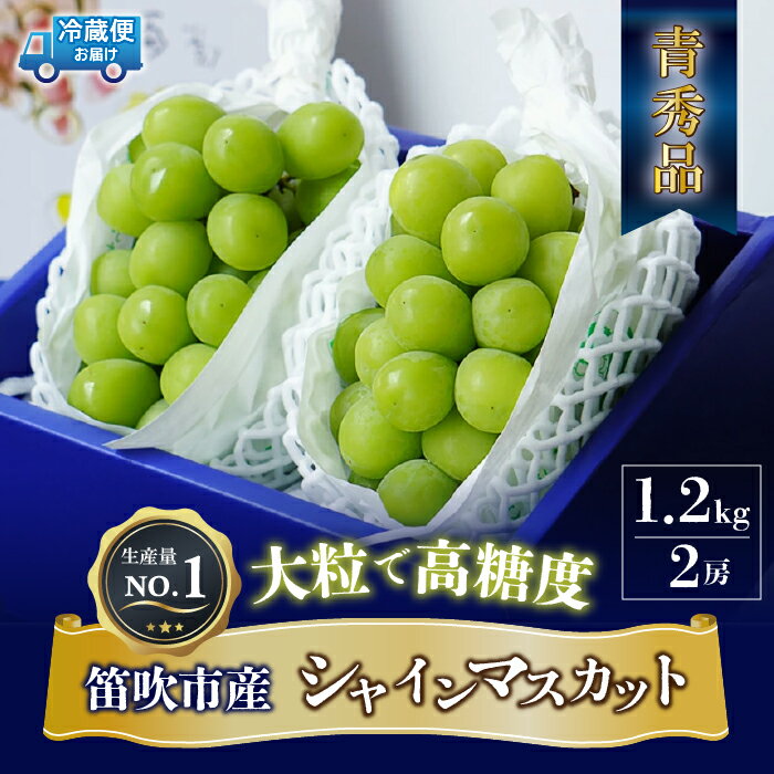 【ふるさと納税】＜2024年先行予約＞大房『シャインマスカット』 山梨県産ぶどう 青秀品 2房 計約1.2kg 化粧箱入 ※冷…