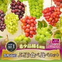 【ふるさと納税】＜2024年先行予約＞『希少品種ぶどう食べ比