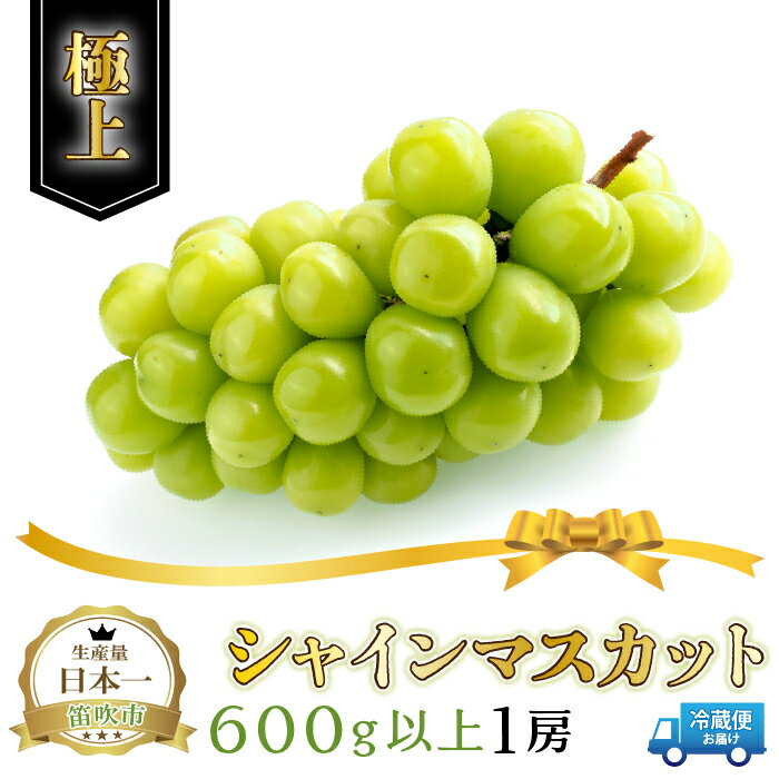 【ふるさと納税】＜2024年発送＞笛吹市産シャインマスカット（極上）1房　600g以上 ふるさと納税 おすすめ ランキング シャインマスカット 笛吹市 国産 人気 期間限定 ぶどう ブドウ 葡萄 旬 果物 フルーツ デザート 山梨県 送料無料 210-006のサムネイル