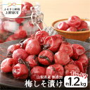 yӂ邳Ɣ[Łz~ Y  RY ~Ђ 1.2kg ̂Ȃ 炩 W[V[ L R̖ Mtg v[g 蕨   R 쌴s